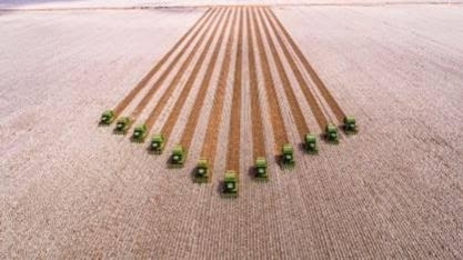 Produção agrícola maior deve fortalecer geração de bioenergia