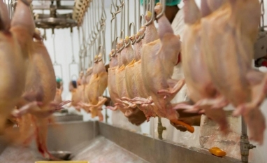 Preço da carne de frango é o menor desde julho de 2023