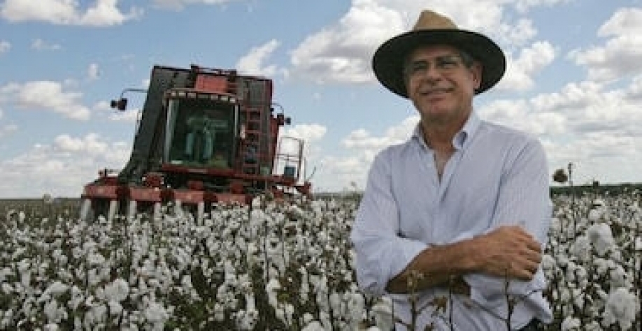 Justiça reconhece fraude em recuperação judicial bilionária do agro em MT