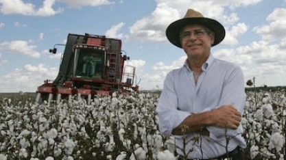 Justiça reconhece fraude em recuperação judicial bilionária do agro em MT