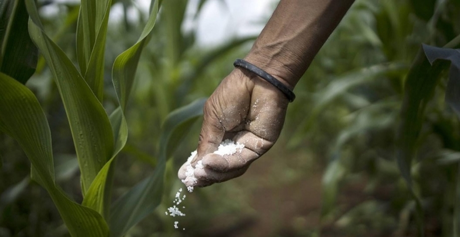 Preços de insumos preocupam mas risco de falta de fertilizantes é baixo