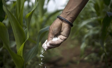Preços de insumos preocupam mas risco de falta de fertilizantes é baixo