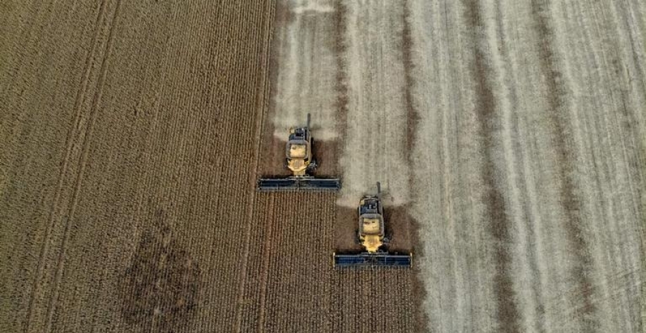 O Brasil pode viver novo boom das commodities com a guerra?