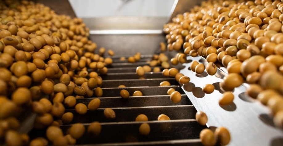 Governo vai à China discutir regras de fiscalização da soja brasileira