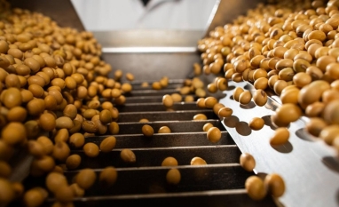 Governo vai à China discutir regras de fiscalização da soja brasileira