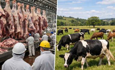 Cota de carne bovina da América do Sul à China deve se esgotar em julho