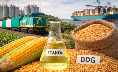 Queda na safra de milho não freia avanço do DDG e impulsiona exportações