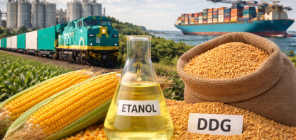 Queda na safra de milho não freia avanço do DDG e impulsiona exportações