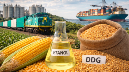 Queda na safra de milho não freia avanço do DDG e impulsiona exportações