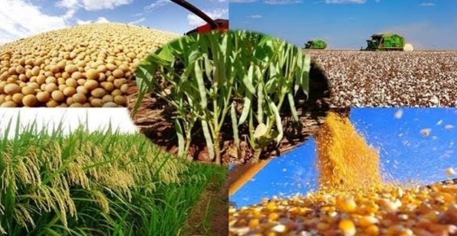 Agropecuária compensa desaceleração de componente cíclica do PIB