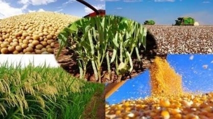 Agropecuária compensa desaceleração de componente cíclica do PIB