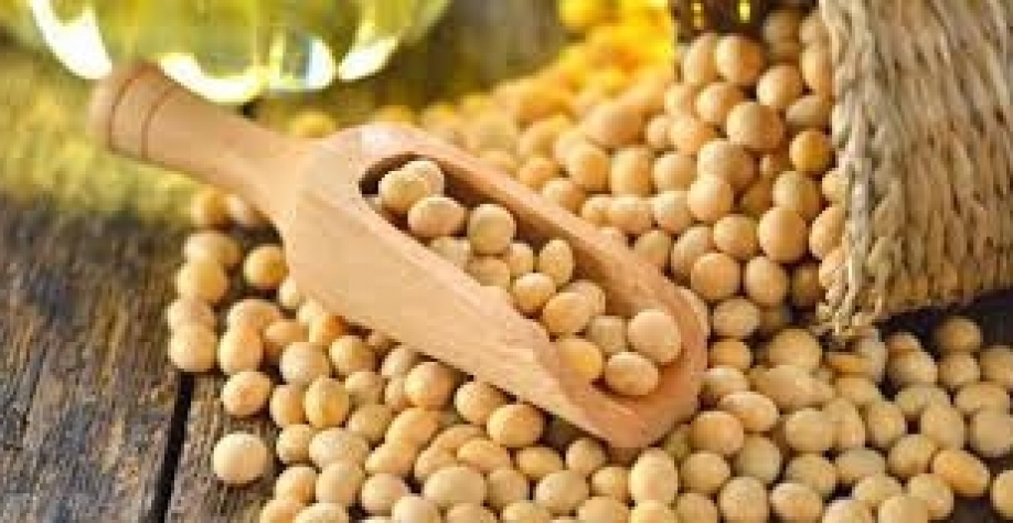 País intensifica controle da soja para preservar mercado chinês,diz Fávaro