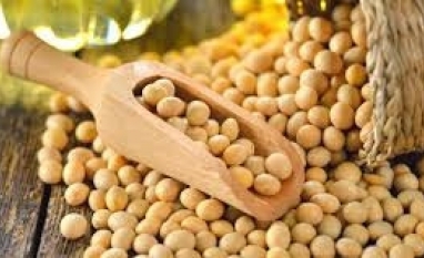 País intensifica controle da soja para preservar mercado chinês,diz Fávaro