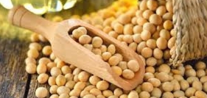 País intensifica controle da soja para preservar mercado chinês,diz Fávaro