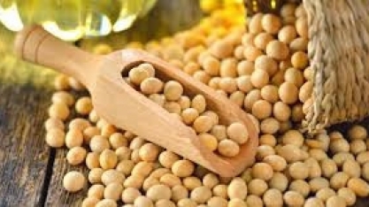 País intensifica controle da soja para preservar mercado chinês,diz Fávaro