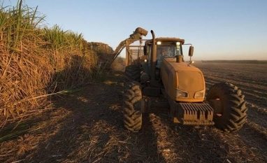 Raizen: Recuperação extrajudicial preocupa fornecedores de cana