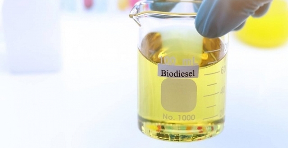 Produtores de biodiesel defendem testes para mistura até 20%