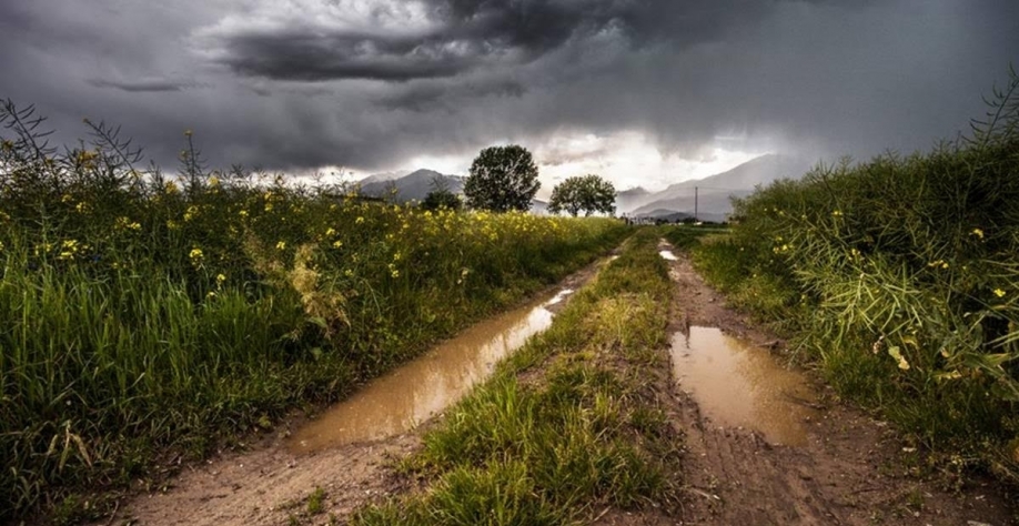 Chance de El Niño entre abril e junho sobe para 84%, diz instituto