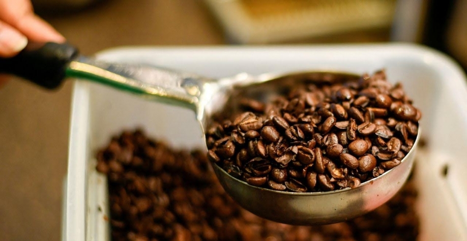 StoneX eleva previsão de safra de café em 6,5% para mais de 75 mi de sacas