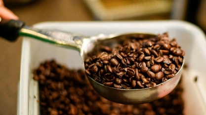 StoneX eleva previsão de safra de café em 6,5% para mais de 75 mi de sacas