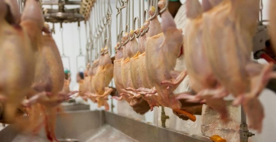 Regras para exportação de carne ao Oriente Médio são flexibilizadas