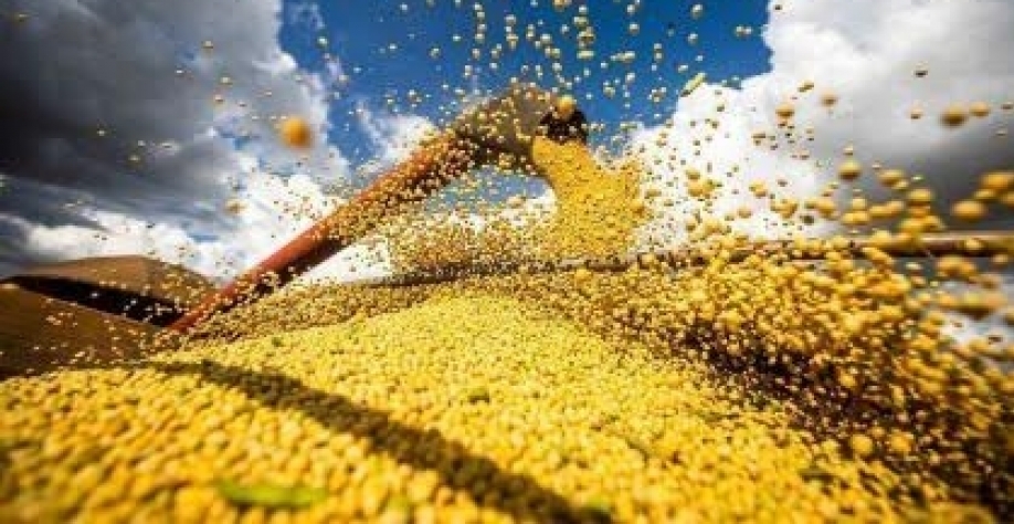 CNA inicia encontros regionais para discutir propostas do Plano Safra