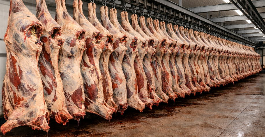 Com produção recorde de carne, Brasil consolida liderança mundial 
