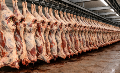 Com produção recorde de carne, Brasil consolida liderança mundial 