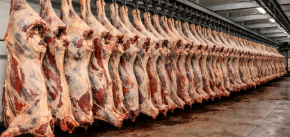 Com produção recorde de carne, Brasil consolida liderança mundial 