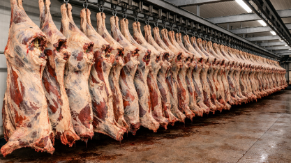 Com produção recorde de carne, Brasil consolida liderança mundial 