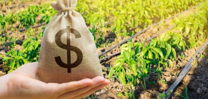 Concessão de crédito rural recua 13% até fevereiro