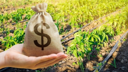 Concessão de crédito rural recua 13% até fevereiro