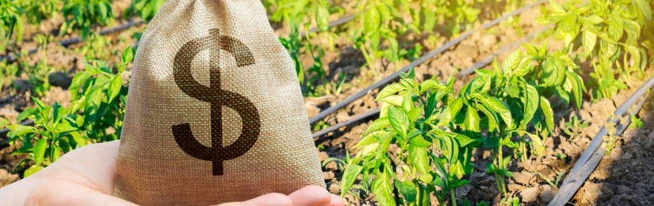 Concessão de crédito rural recua 13% até fevereiro