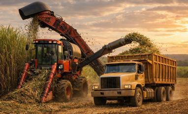 Safra de cana-de-açúcar cresce e muda perfil: mais etanol, menos açúcar