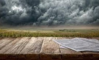 Agro registra recorde de recuperações judiciais – Por Fernanda Pressinott