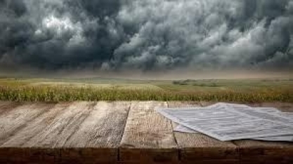 Agro registra recorde de recuperações judiciais – Por Fernanda Pressinott