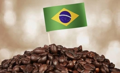 Café recua após testar 300 c/lb em NY com realização de lucros dos fundos