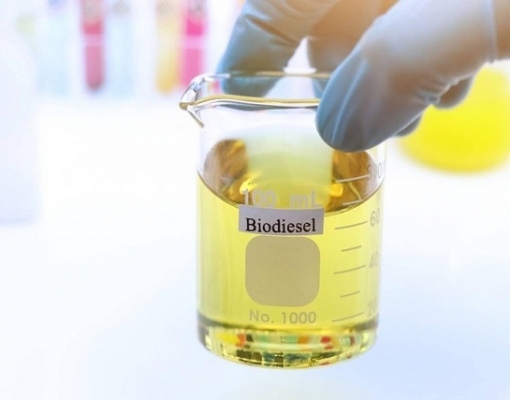 Governo vai analisar permissão para biodiesel importado