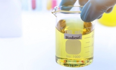 Governo vai analisar permissão para biodiesel importado
