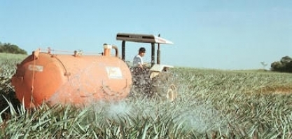 Rússia suspende exportação de fertilizante em meio à crise global