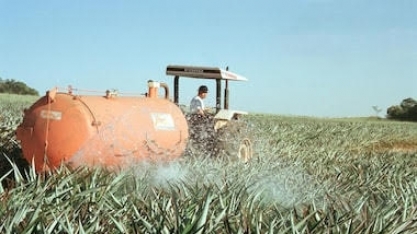 Rússia suspende exportação de fertilizante em meio à crise global