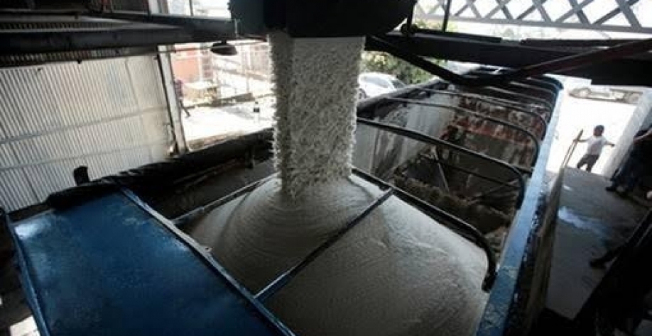 Oferta de cana na nova safra deve sustentar a produção de açúcar