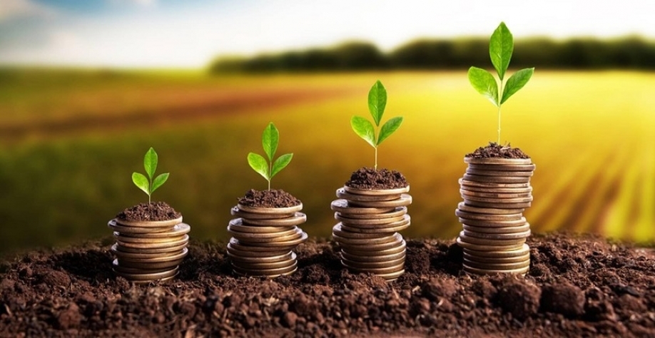 Recuperações no agro revelam nova fase do crédito no Brasil