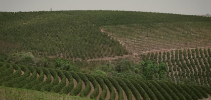 Preço da terra no Brasil varia de R$ 1 mil a R$ 2 milhões por hectare