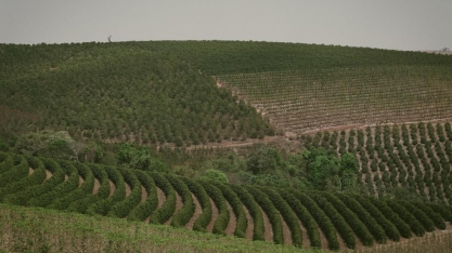 Preço da terra no Brasil varia de R$ 1 mil a R$ 2 milhões por hectare