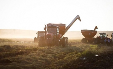 Produtores do RS paralisam trabalhos de colheita após falta de combustível