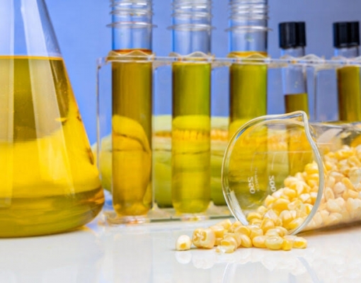 Milho sustentou produção recorde de etanol na safra 2025/26