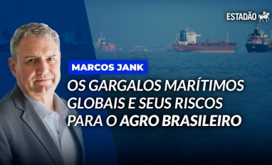 Os gargalos marítimos globais e seus riscos para o Agro Brasileiro