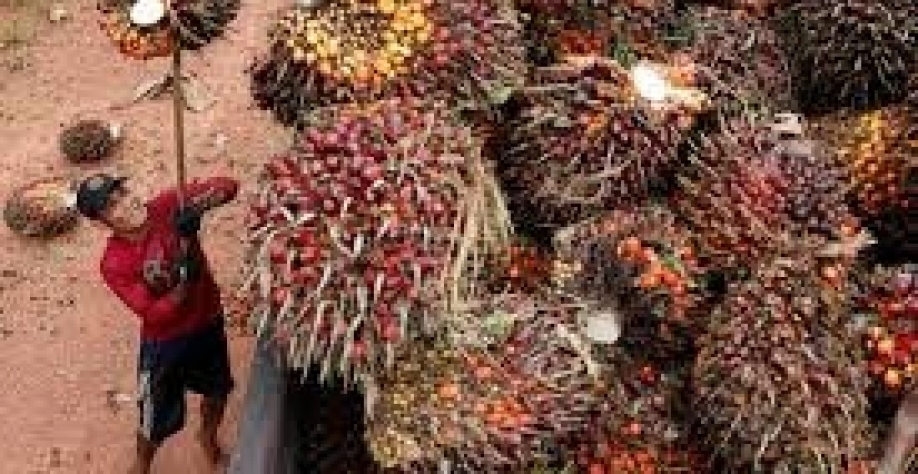 Corrida pelo biodiesel: preço cai abaixo do diesel comum pela primeira vez