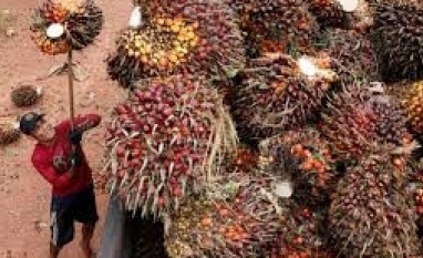 Corrida pelo biodiesel: preço cai abaixo do diesel comum pela primeira vez